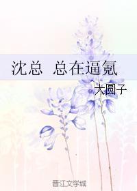 沈总总在氪无防盗