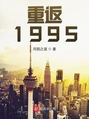 重返1995阅读