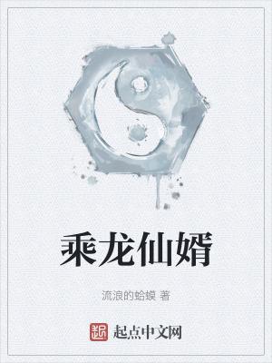 乘龙仙婿 起点