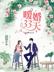 暖婚33天免费阅读