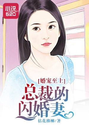 总裁闪婚宠文