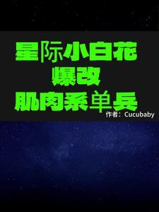 星际小白怎么配置网络