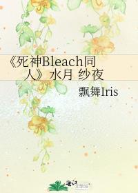 死神bleach 动漫