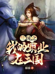 三国之霸业