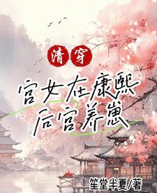 清穿康熙后期嫔妃