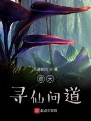 遮天仙是什么境界