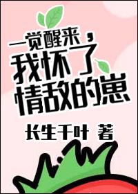 一觉醒来我怀了前男友by无边客