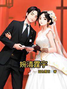 女主角叫婉清的