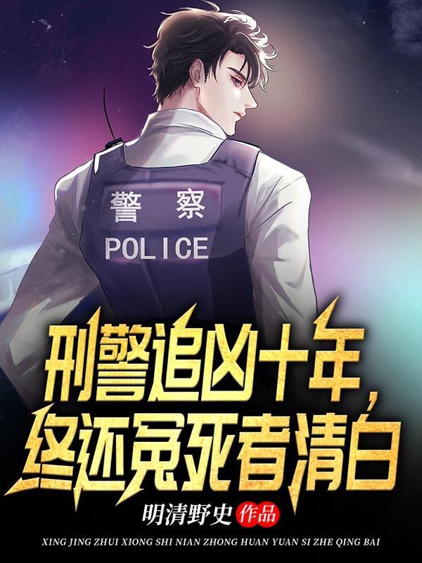 刑警追击电视剧