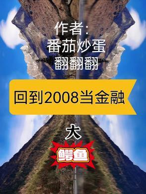 回到2008年