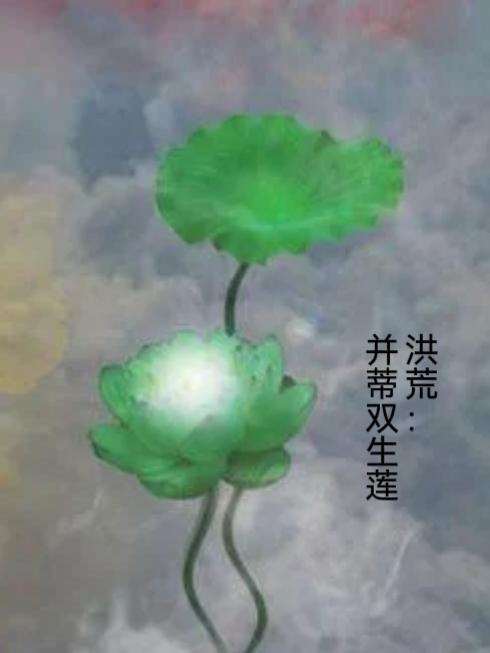 洪荒双休的