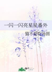 一闪一闪亮星星番外婚后