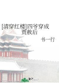 清穿红楼之四爷在上有声