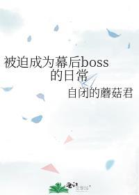 被迫成为幕后boss的日常是双男主吗