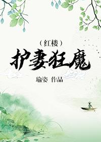 红楼护妻狂魔雪烛