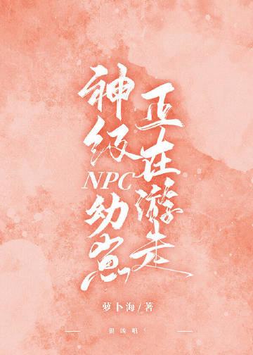 禁止npc穿mod