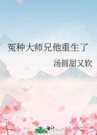 冤种大师兄他重生了cp是谁